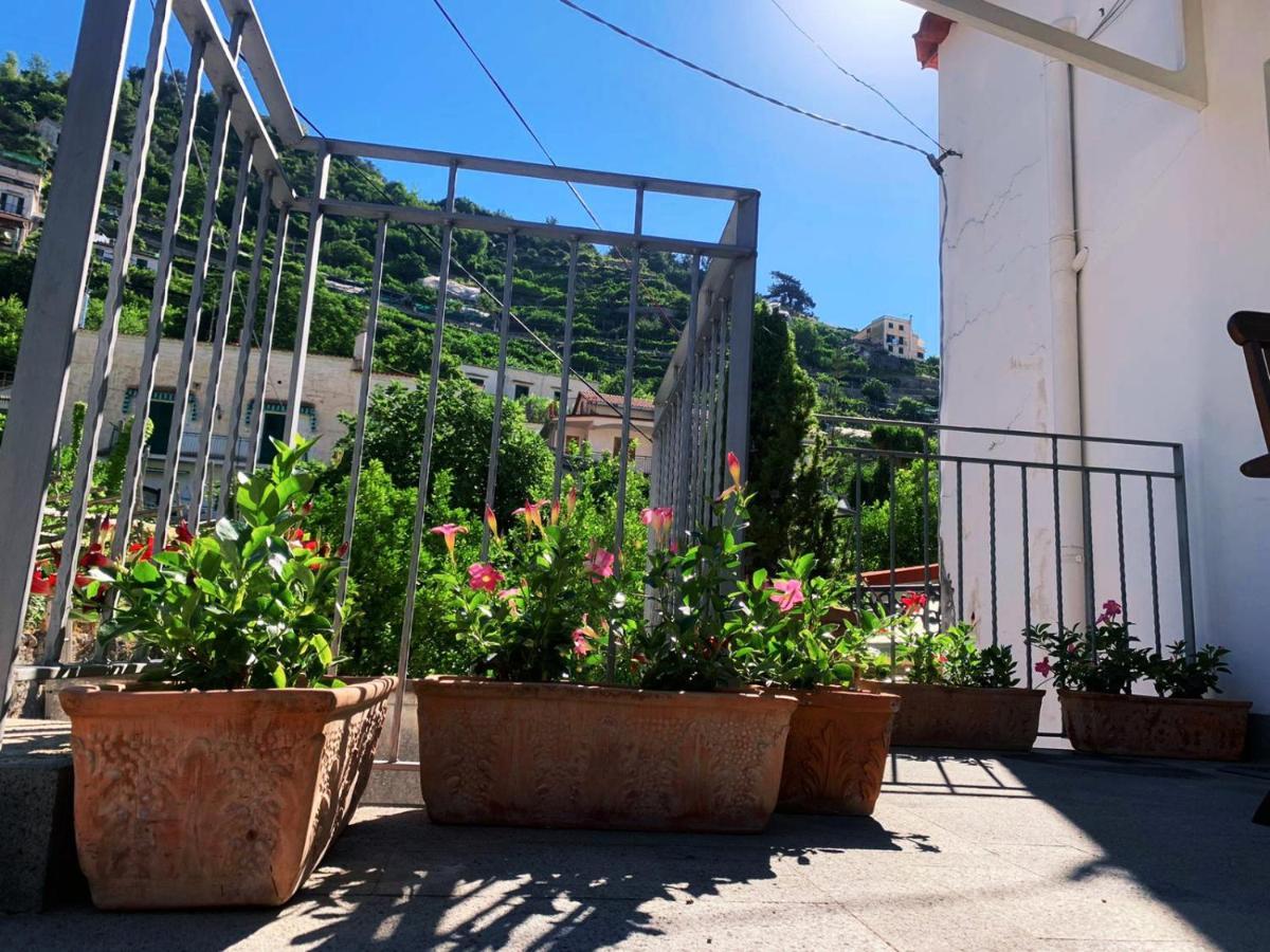 L'Albero Della Vita Minori Buitenkant foto